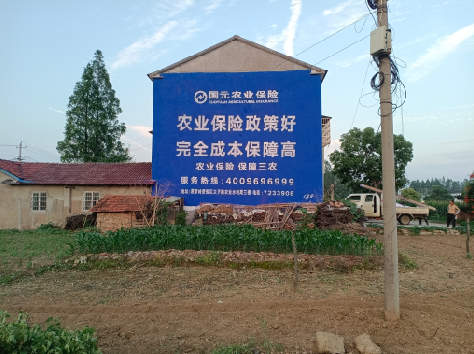 蒙城墙体广告为何受追捧?