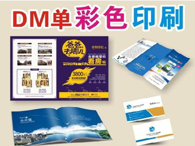 蒙城单页印刷，色彩搭配简单。